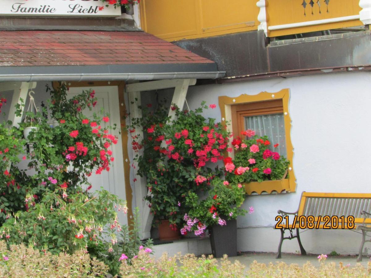 Apartments Bei Familie Liebl Sankt Oswald-Riedlhuette Buitenkant foto